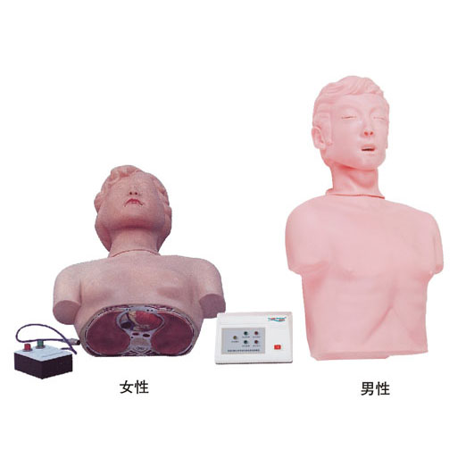  半身心肺復蘇訓練模擬人 KAS-CPR170