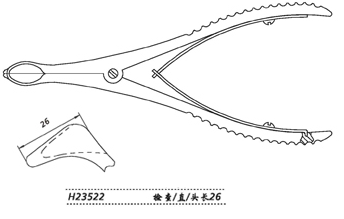 金鐘鼻鏡 H23522