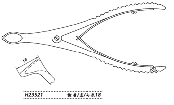 金鐘鼻鏡 H23521