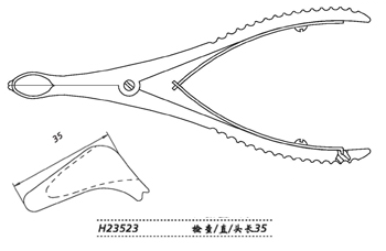 金鐘鼻鏡 H23523