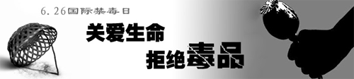 2008年國際禁毒日的主題是:依法禁毒、構造和諧 width=